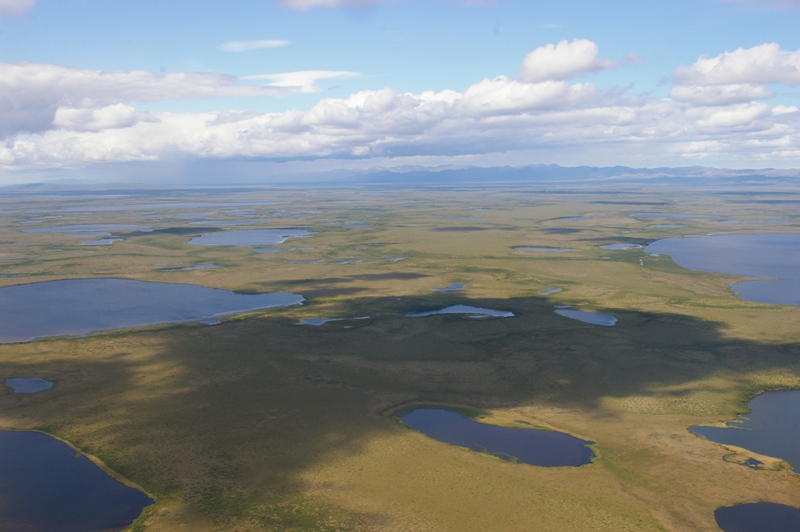 Устьевое камчатский край фото